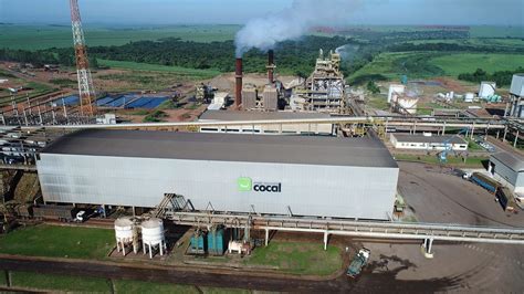cocal .